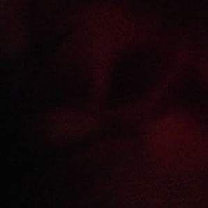 Meet your Posher, Nicolas